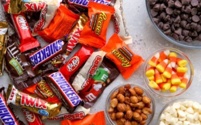 Halloween Treats Your Pet Should Stay Away From